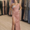 Rose V. Dress